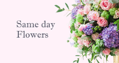 Store Same day Flowers